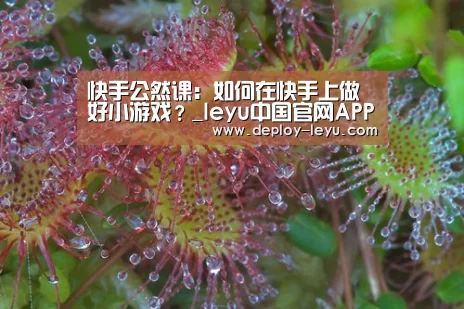 快手公然课:如何在快手上做好小游戏?_leyu中国官网APP(图2)
快手公然课:如何在快手上做好小游戏?_leyu中国官网APP(图2)